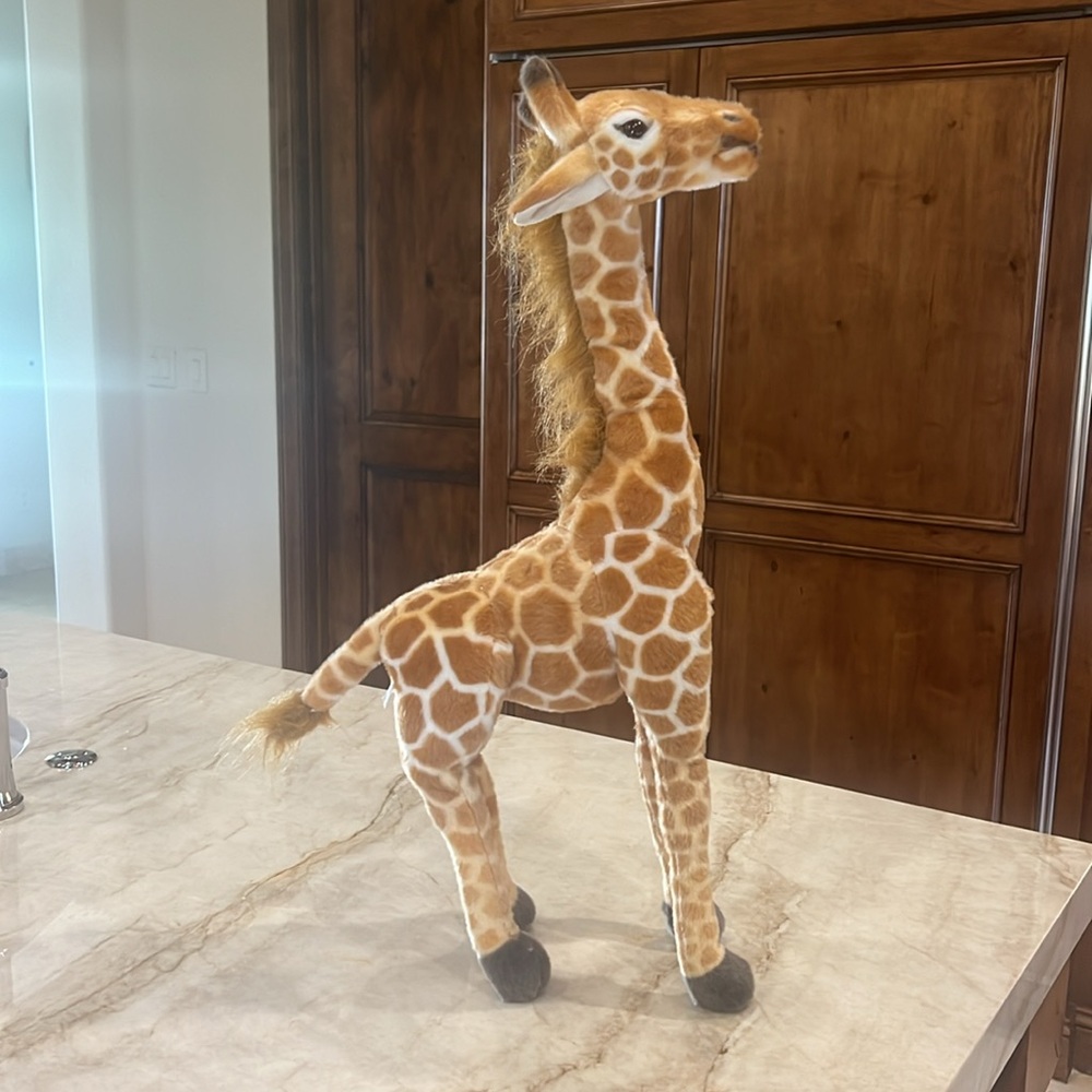 Stuffed posable giraffe. Can stand unassisted